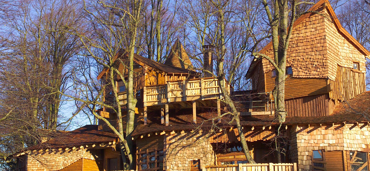 House built among trees with singles end shakes