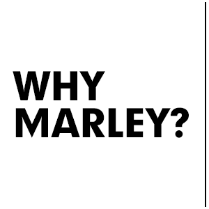 Why marley question card for 100 reasons campaign