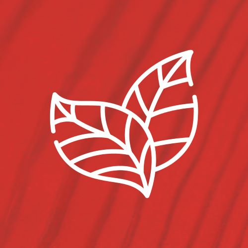 Leaf icon image