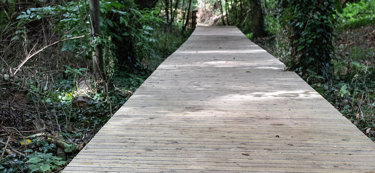 Antislip Plus Hartlebury Castle case study image of a path in the forest