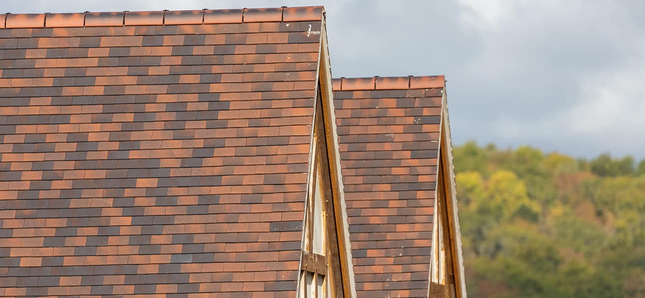 Image featuring Hawkins on two roofs